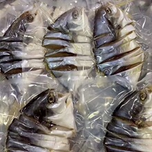 咸魚-咸魚批發、促銷價格、產地貨源 